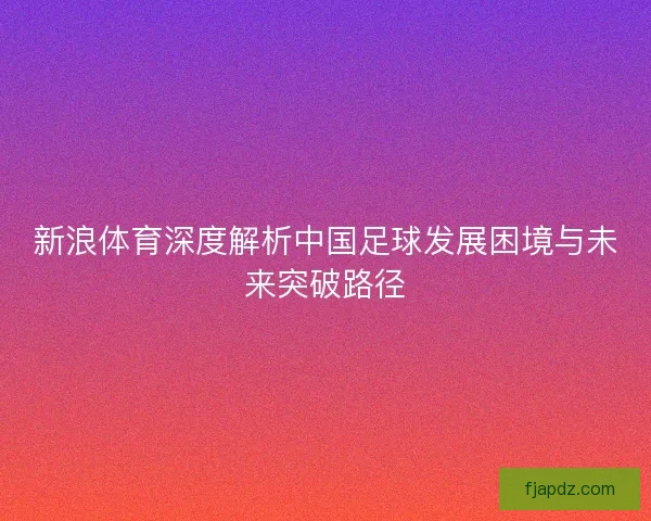 新浪体育深度解析中国足球发展困境与未来突破路径